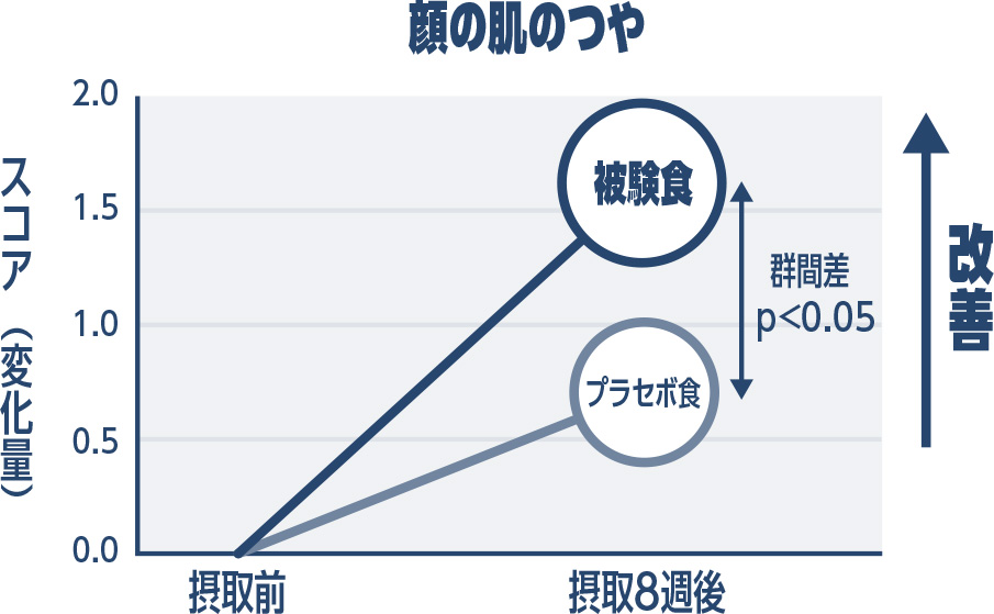 顔の肌つや