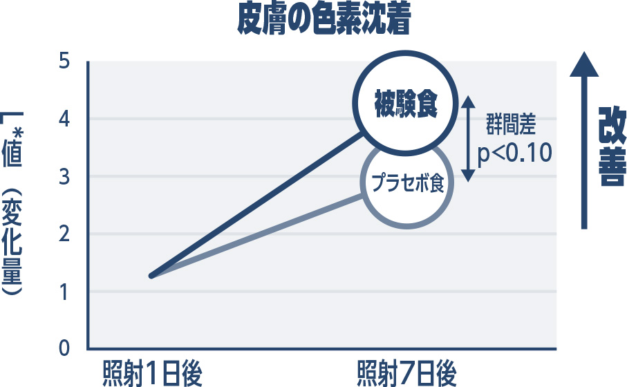 皮膚の色素沈着