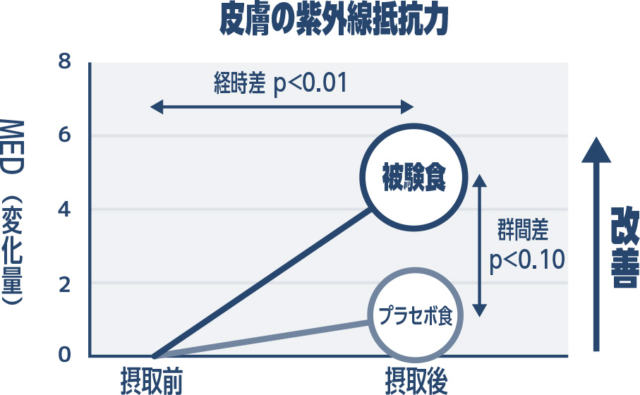 皮膚の紫外線抵抗力