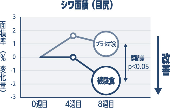 シワ面積(目尻)