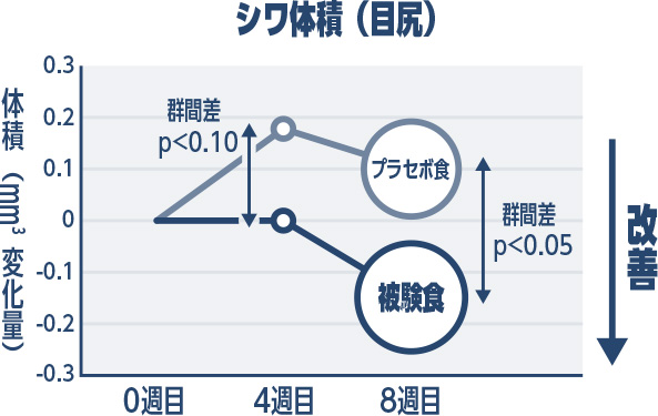 シワ体積(目尻)
