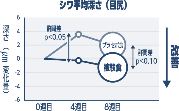 シワ平均深さ（目尻）