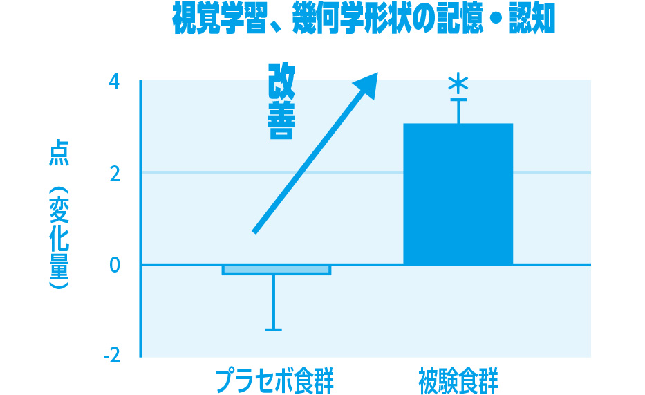 視覚学習、幾何学形状の記憶・認知